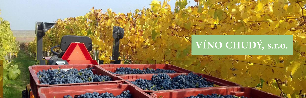 vino chudy web