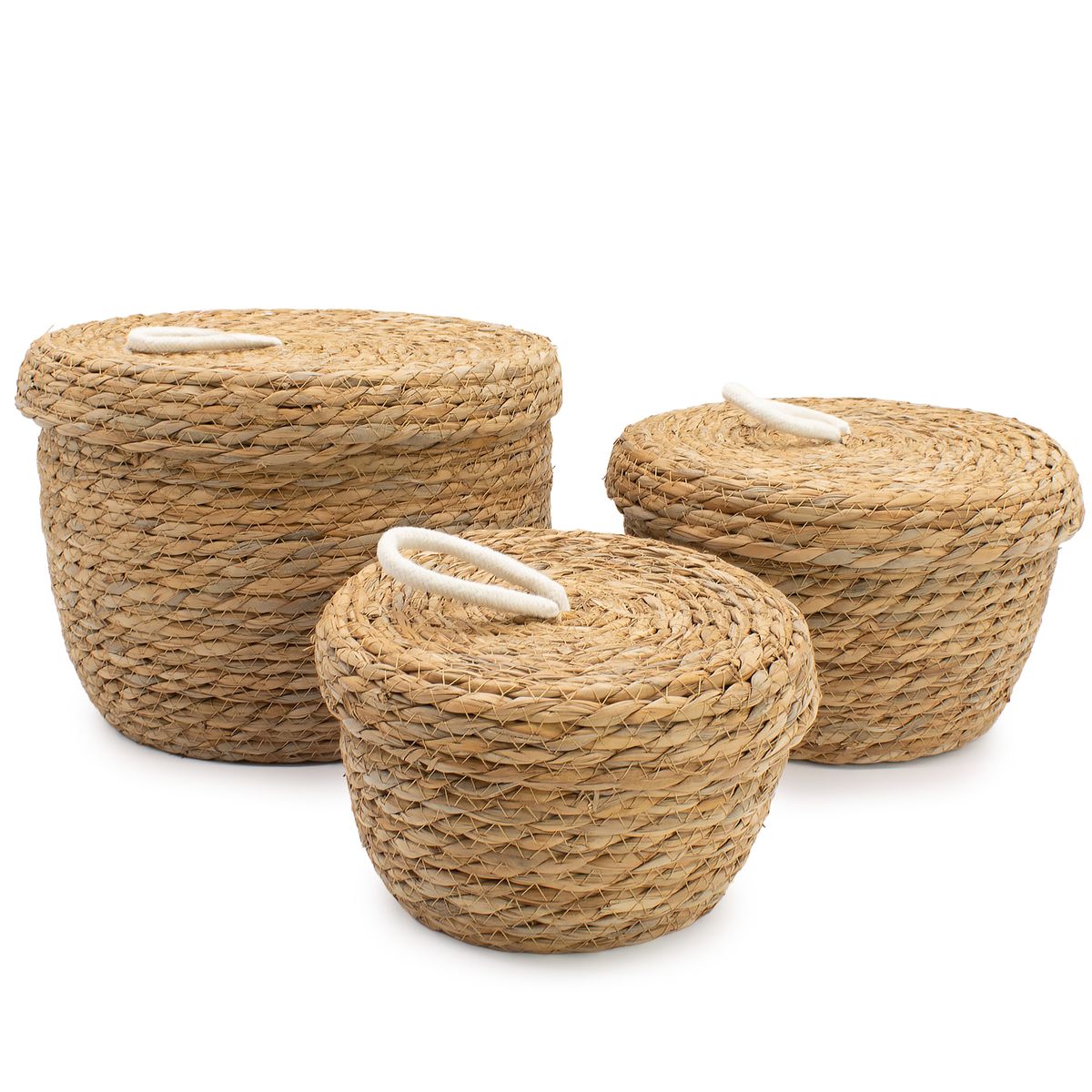 Cestos redondas de erva marinha e algodão com tampa - Natural - Conjunto de 3