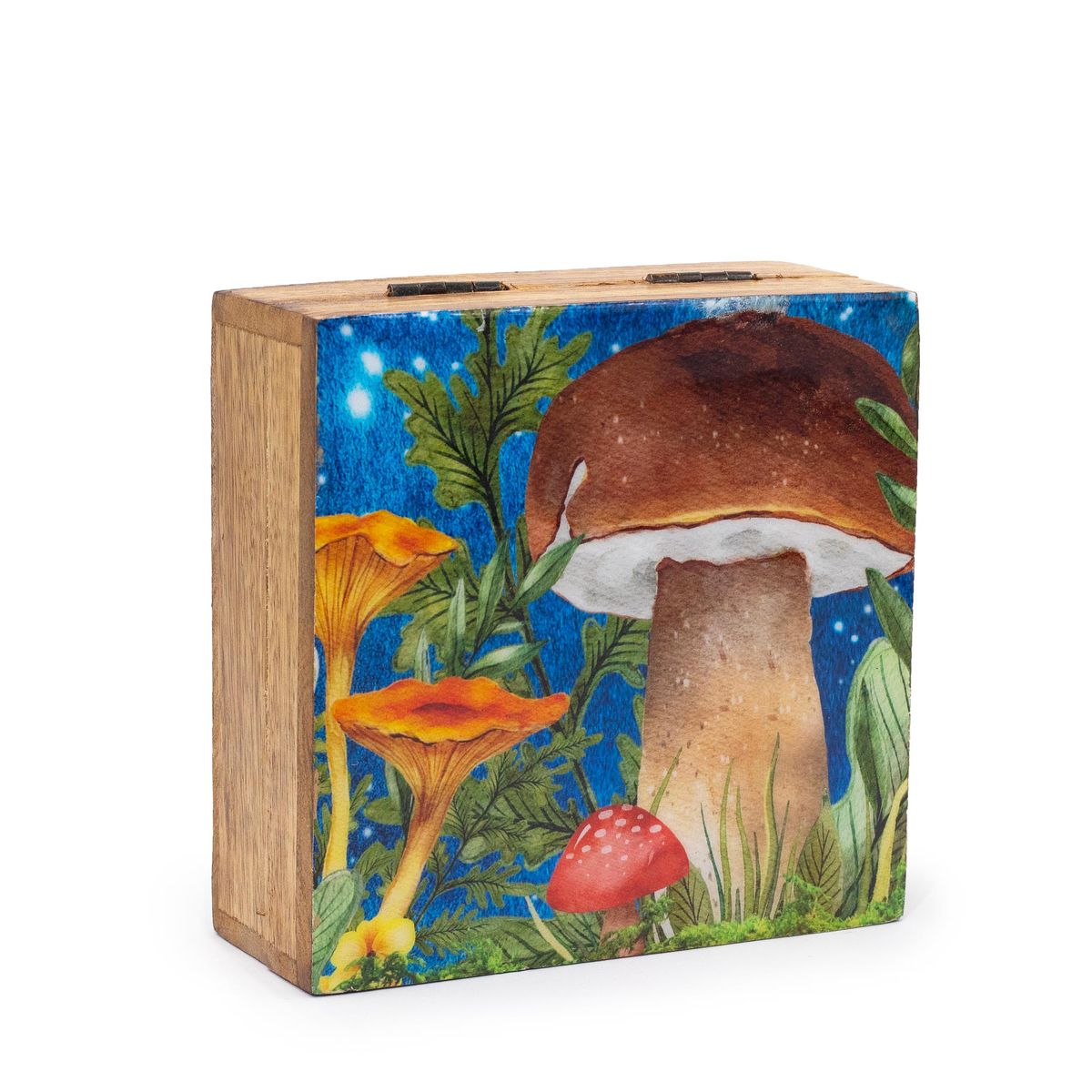 Caixa quadrada média 13,5x13,5x6 cm - Design cogumelo turquesa