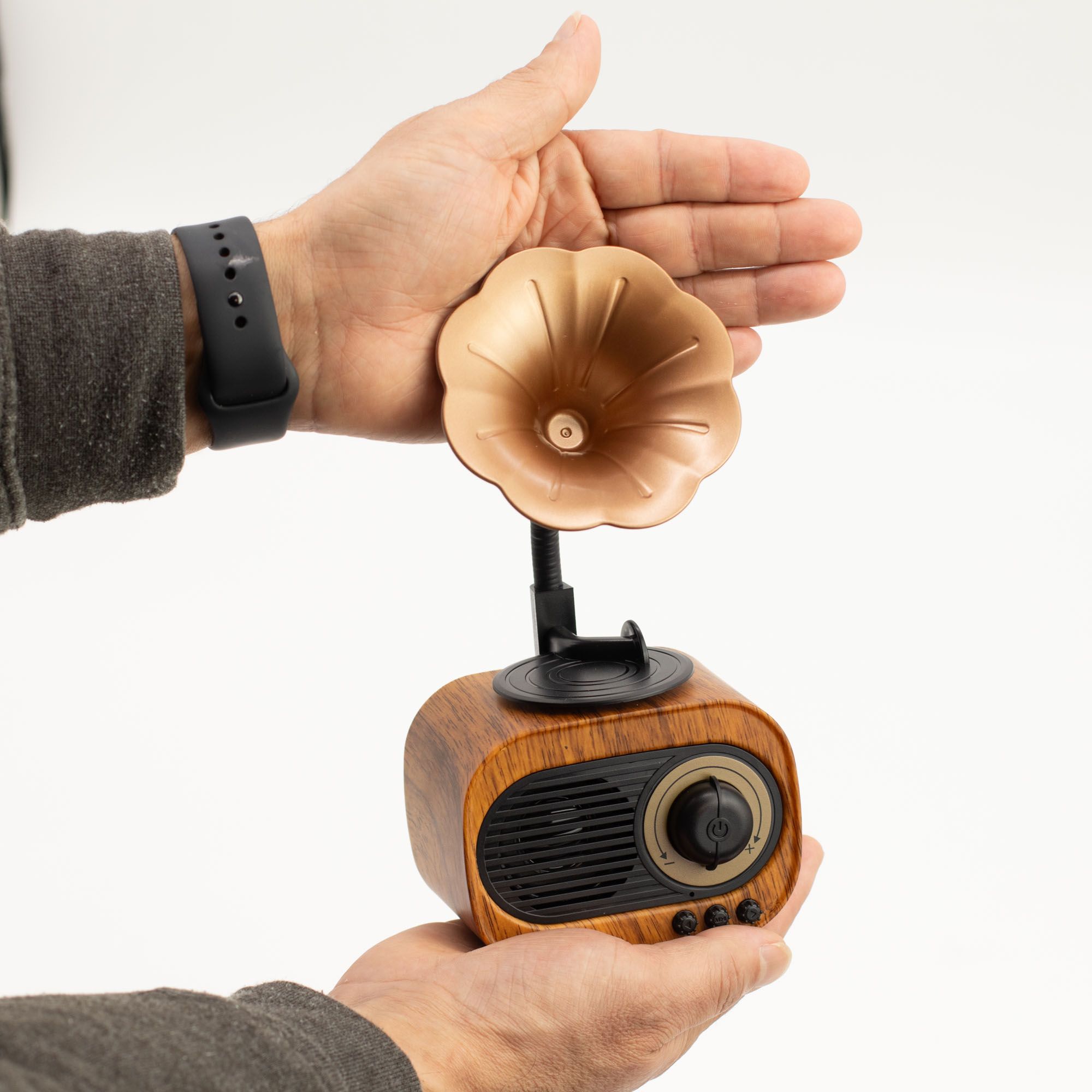 Altavoz mini gramófono retro - Bluetooth y radio FM - 5 vatios x 1