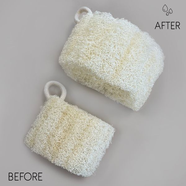 Bucha Egípcia de Luxo com Fio de Algodão - Não Comprimido - 8-12cm