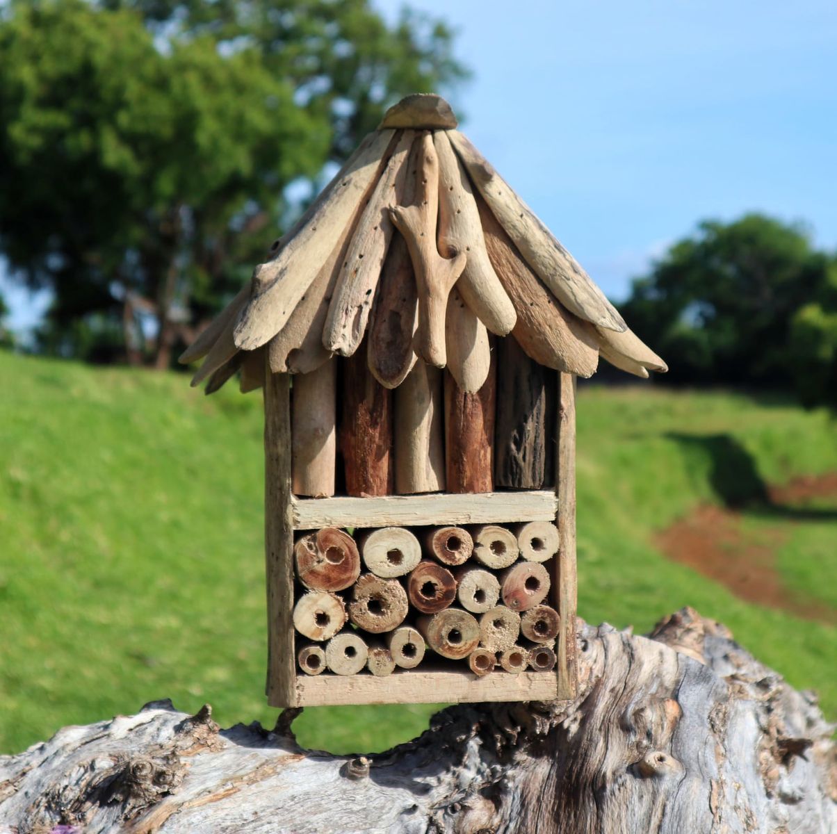 Caixa Dupla Driftwood Bee & Insect