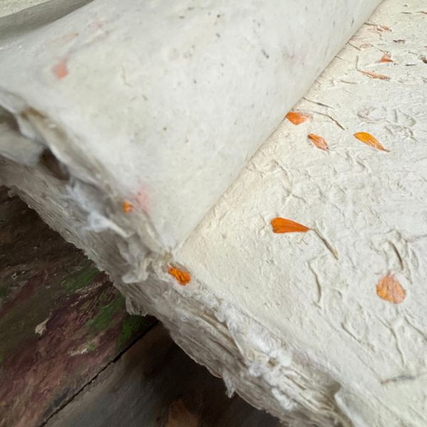 Papel Artesanal Lokta - Calêndula