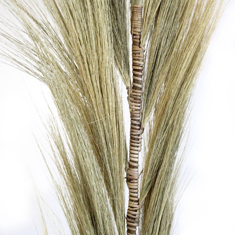 Rayung Grass Blond - 1,6 м