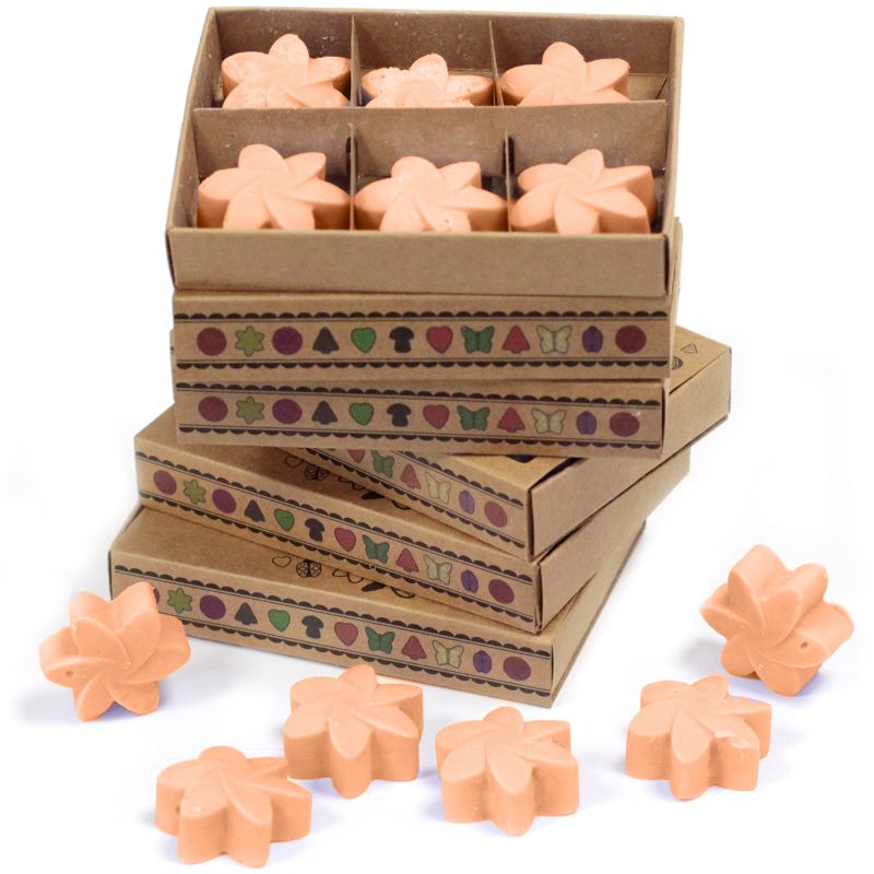 Boîte de 6 Fondants en Cire Soja  - Tubereuse
