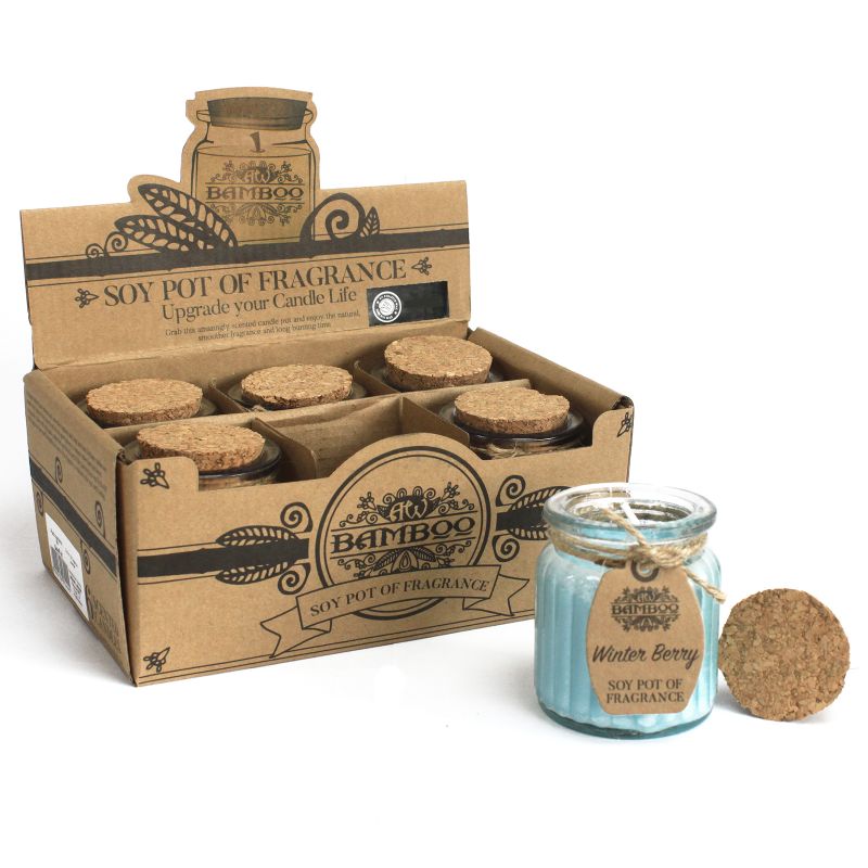 Soy Pot of Fragrance Candle Starter