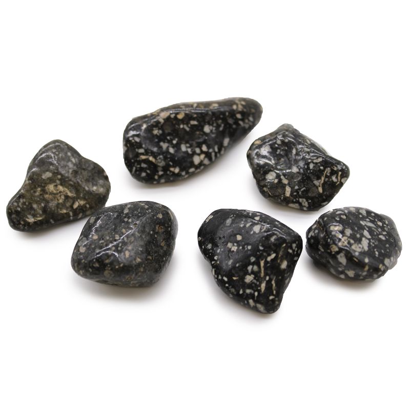Tumble Stones Starter - twenty-five Box Tray Display