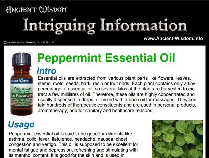 Peppermint Essential Oil Info