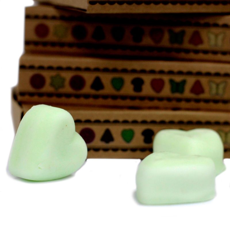 Boîte de 6 Fondants en Cire Soja -  Pomme Épicée