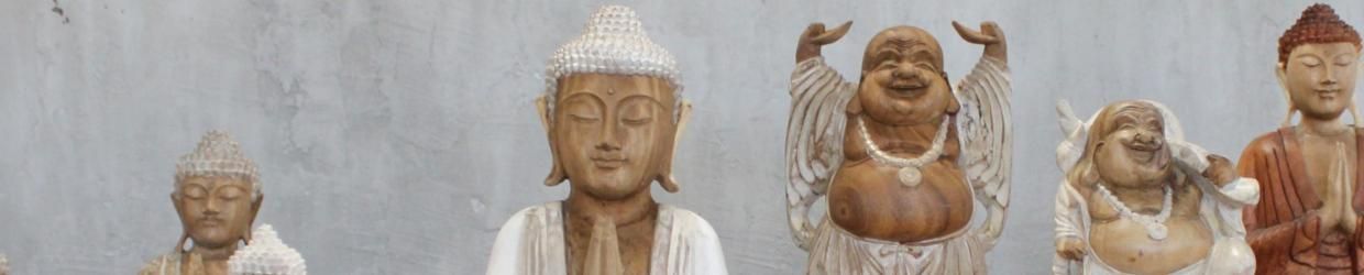 Buddha Statue - 40cm Teaching Transmission - Whitewash