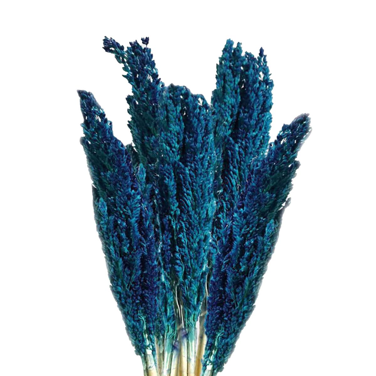 Molho de ervas Cantal - Azul
