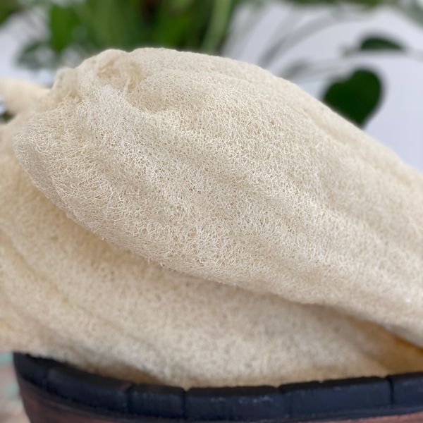 Loofah Entier de Luxe Égyptien - Comprimé - 50-60cm
