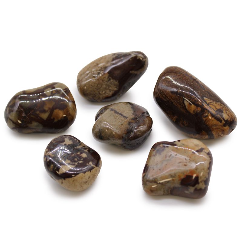 Large African Tumble Stones Starter