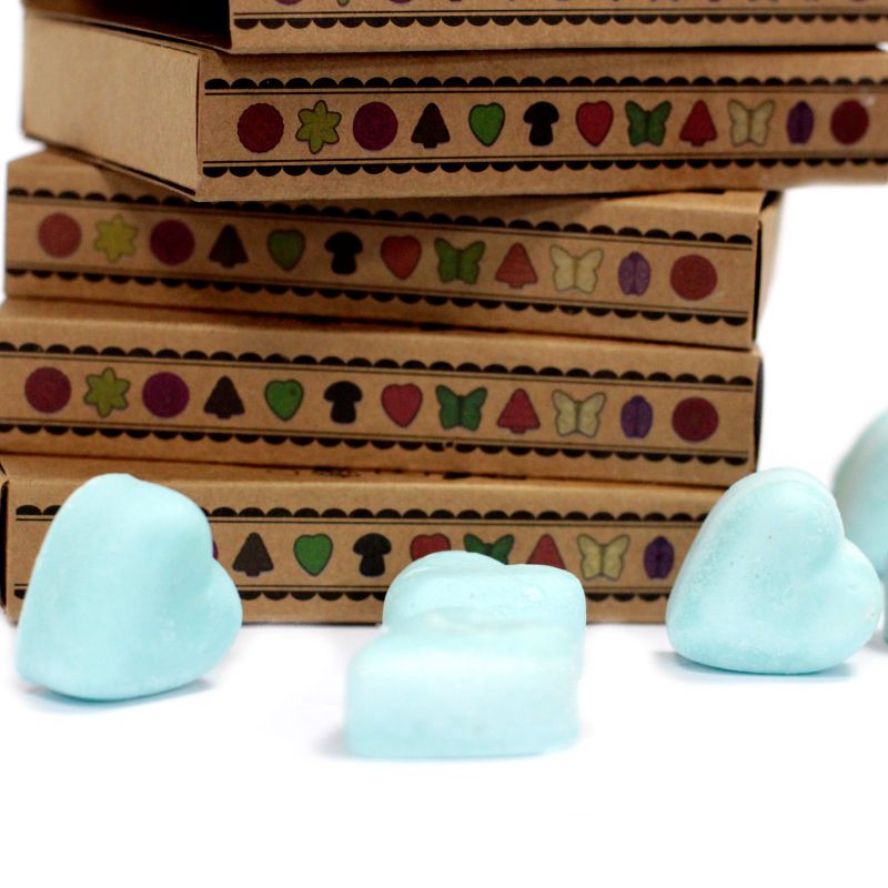 Boîte de 6 Fondants en Cire Soja - Nagchampa
