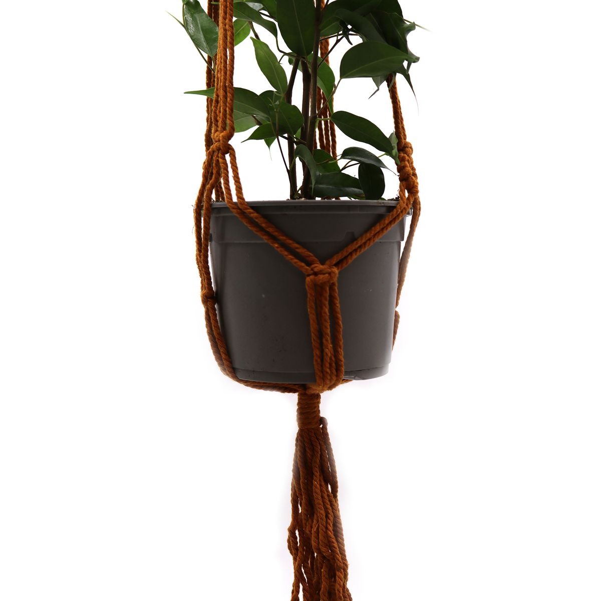 Macramé Vaso Clássico - Chocolate Vaso Médio
