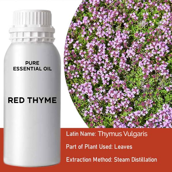 Етерично Масло от Червена Мащерка - 0.5кг