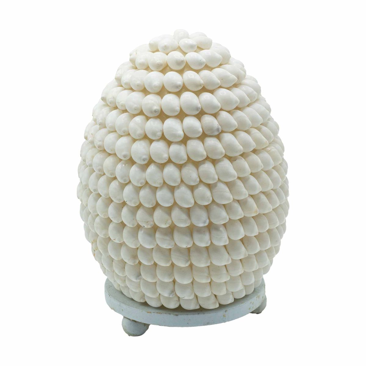 Lâmpada Boho de Conchas Marinhas - Concha Buting Ovalada