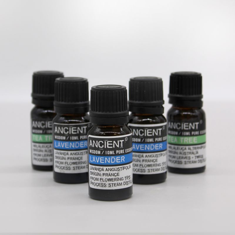 Boxed Aromatherapy Set TOP 12