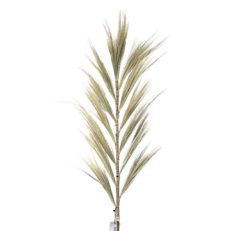 Rayung Grass Blond - 1,6 м