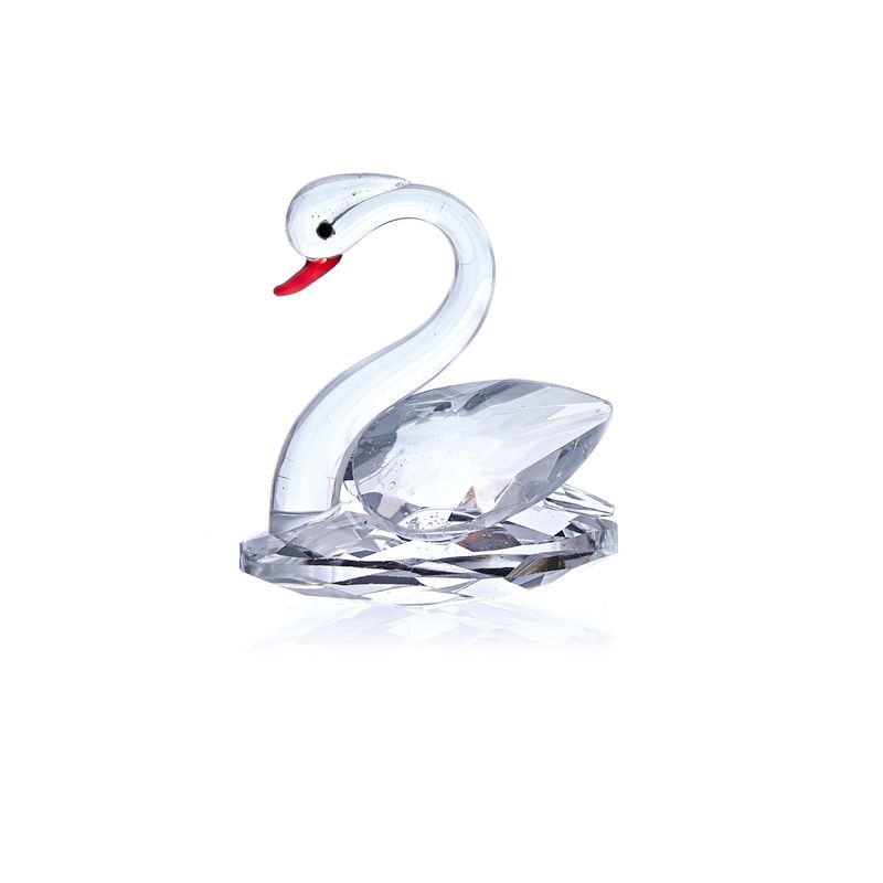 Cygne Blanc
