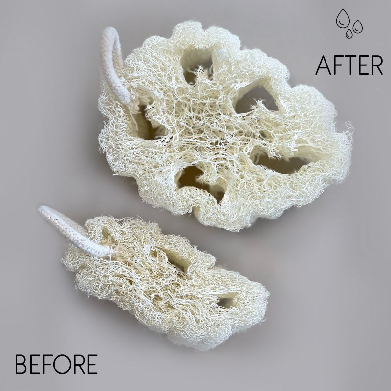 Loofah de Luxe Égyptien avec Ficelle en Coton - Non Compressé - 8-12cm