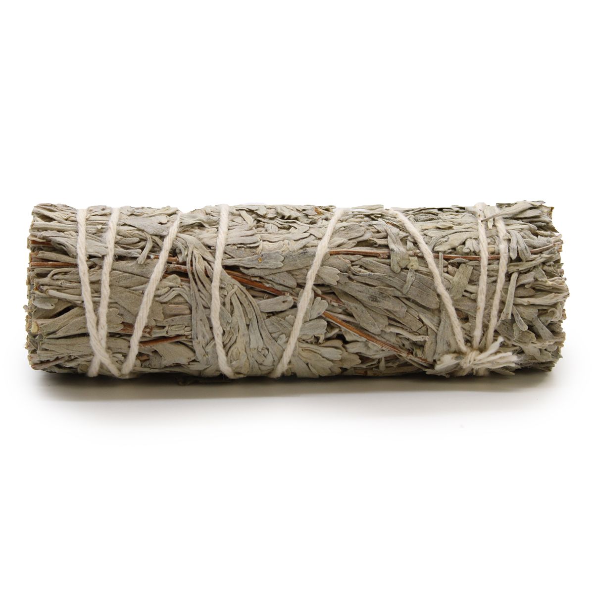 Ramo de ervas - Sálvia azul 10 cm