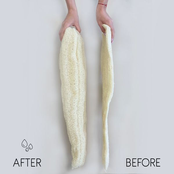 Bucha Egípcia de Luxo Inteira - Comprimida - 35-50cm