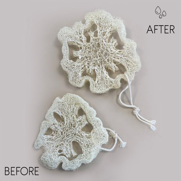 Bucha Egípcia de Luxo com Fio de Algodão - Não Comprimido - 2cm