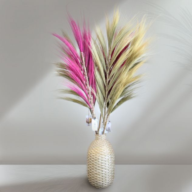 Herbe naturelle Rayung