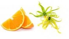 Ylang Ylang et Orange - Shampoing solide