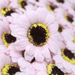 Flores de Jabón Manualidades