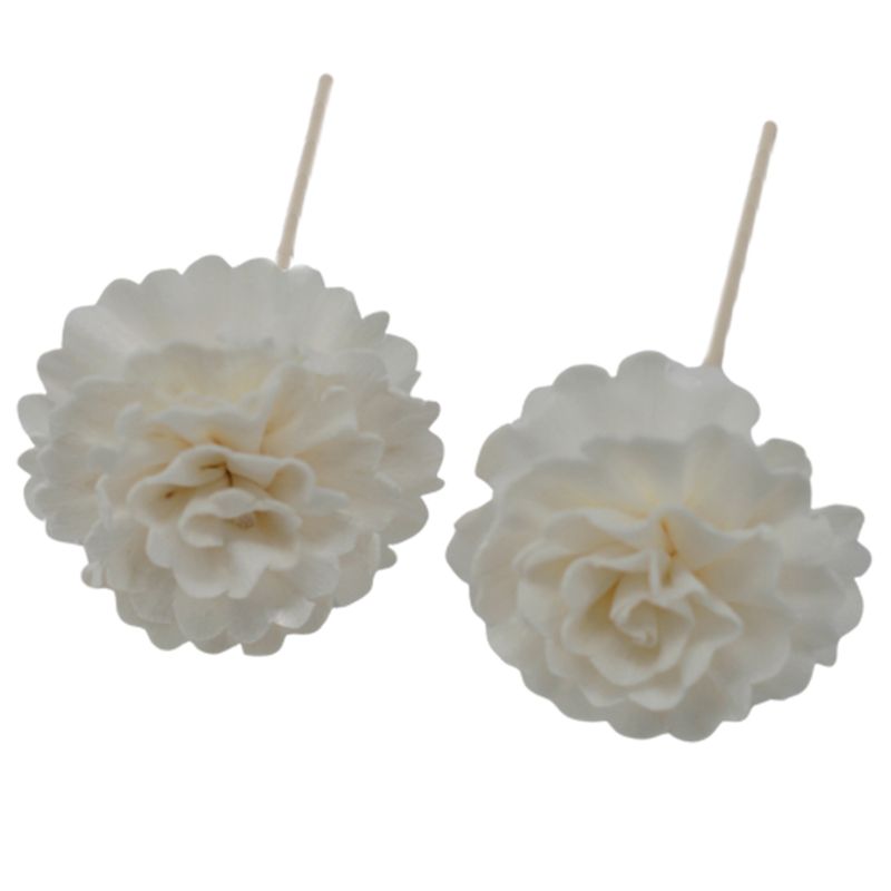 Diffuseurs Naturels Fleurs - Œillet Sur Bâtonnets