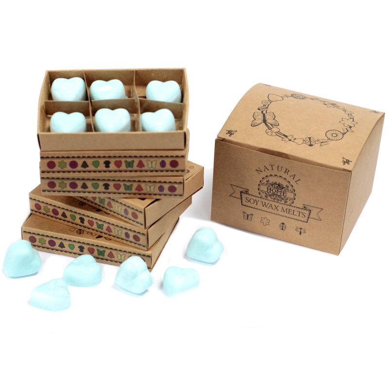 Boîte de 6 Fondants en Cire Soja - Nagchampa