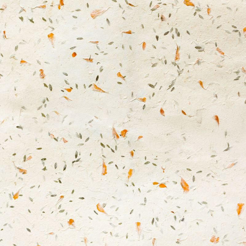 Lokta Craft / Wrapping Paper (51x76cm) - Grass