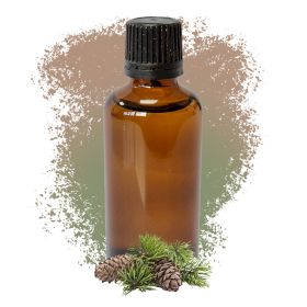 Pin Sylvestris (pin sylvestre) 50 ml - Sans étiquette