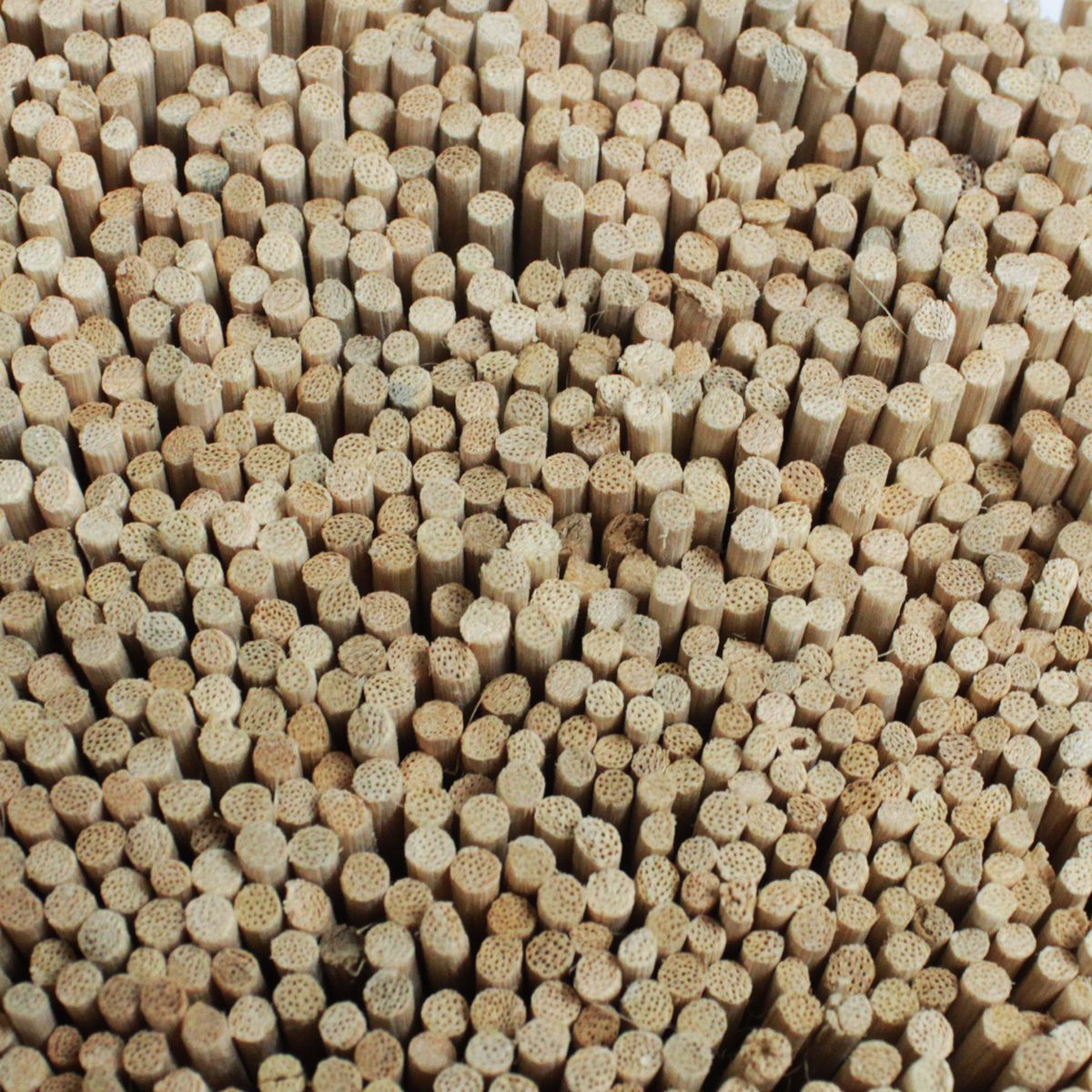 Bulk Reed Diffuser Reeds