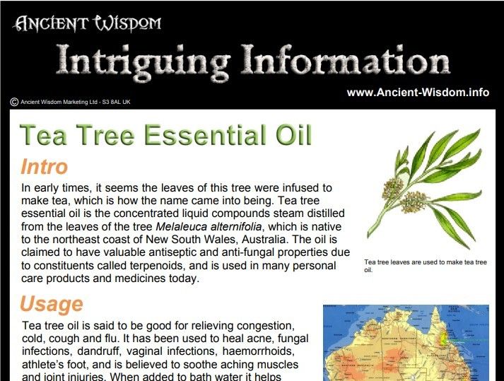 Tea Tree Essential Oil Info