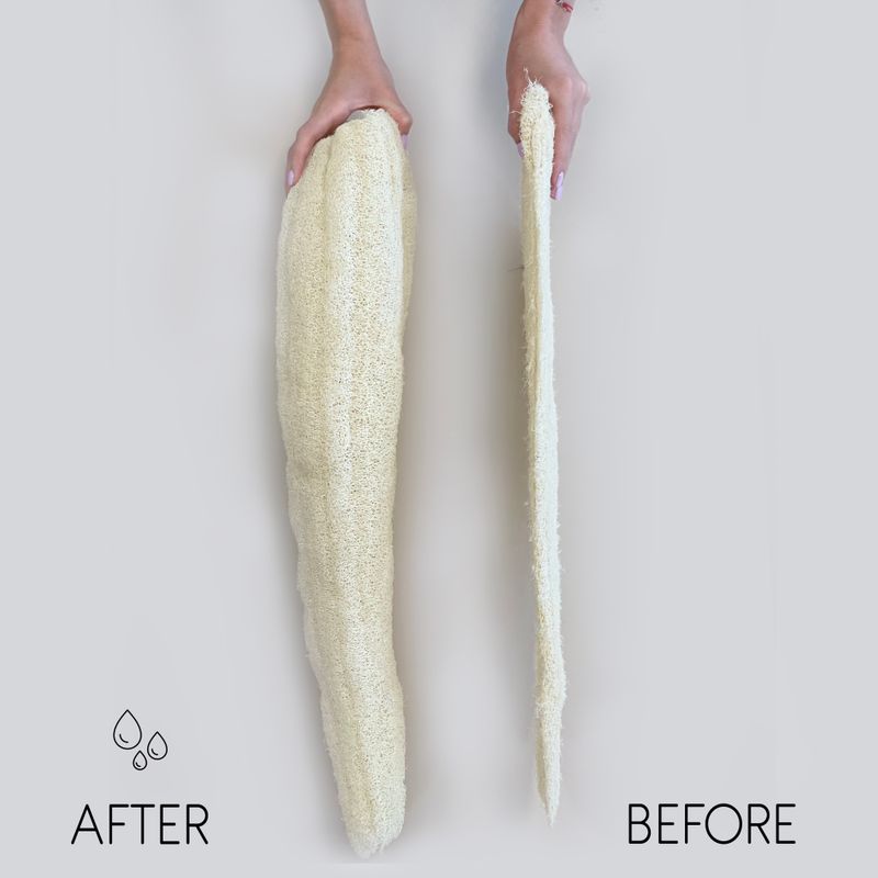 Loofah Entier de Luxe Égyptien - Comprimé - 60cm+