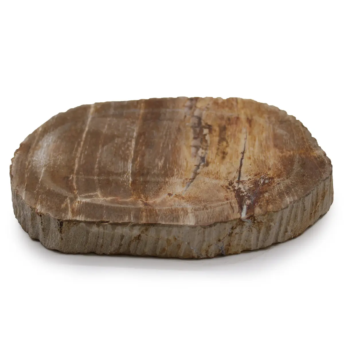 Petrified Wood Brown Soap Dish — Soap Dishes · GlowDuty apothecary