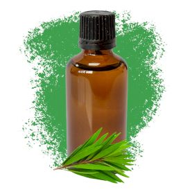 Arbre à thé 50ml - Sans étiquette