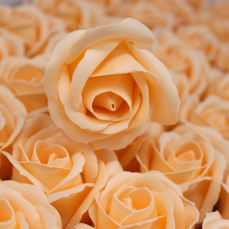 Roses de Savon  pour Bouquet -Medium/Pêche