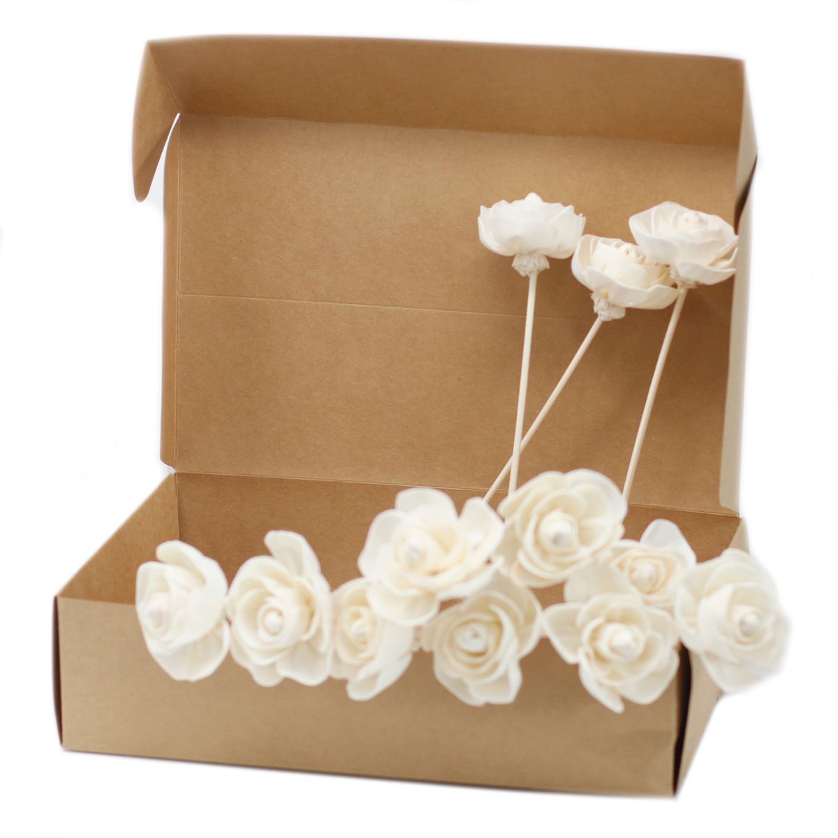 Difusor de Flores Naturais - Rosa em Cana