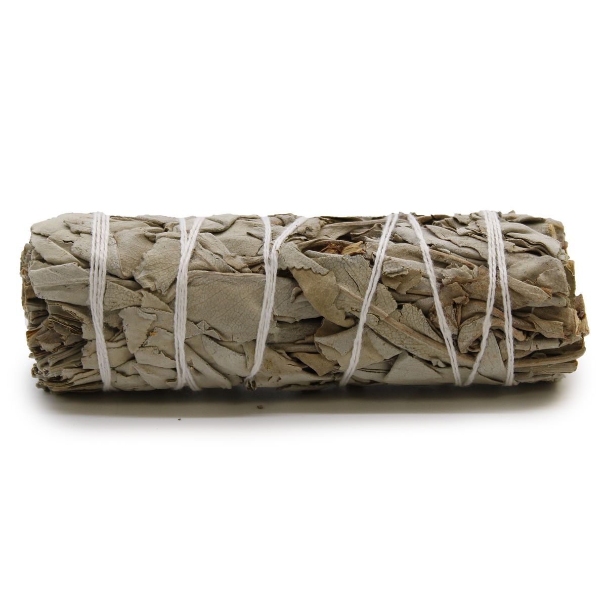Ramo de ervas - Sálvia Branca 10 cm