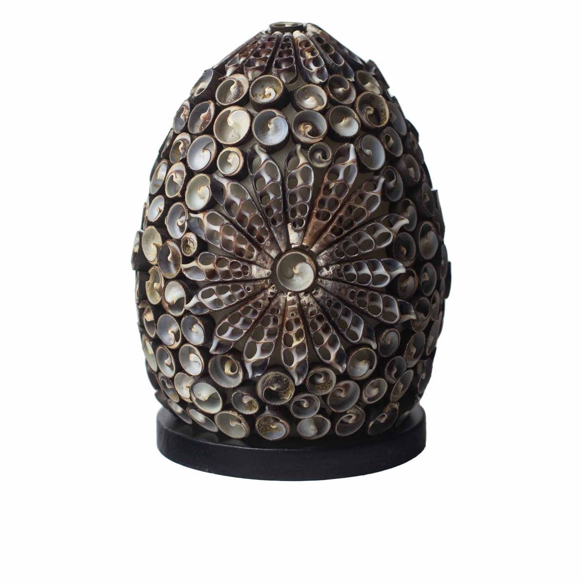 Candeeiro Boho Sea Shell - Chocolate Twist Oval - 15 cm