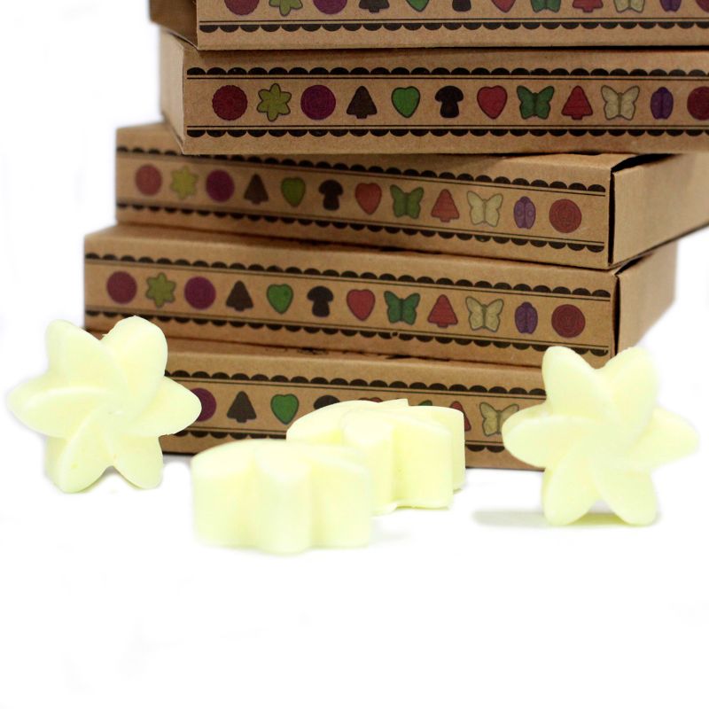 Boîte de 6 Fondants en Cire Soja - Récolte de citron