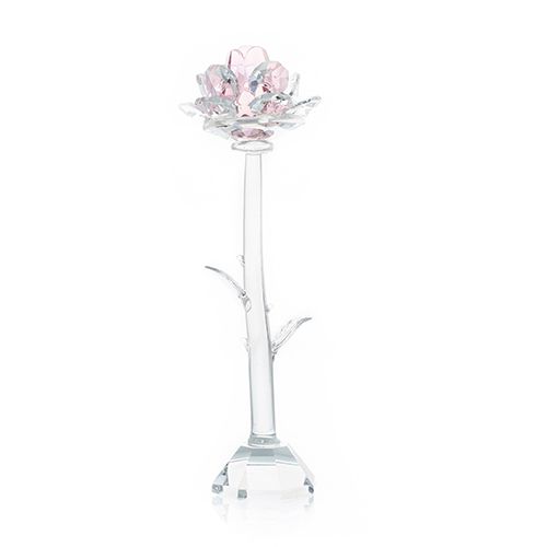 Rose - Rose