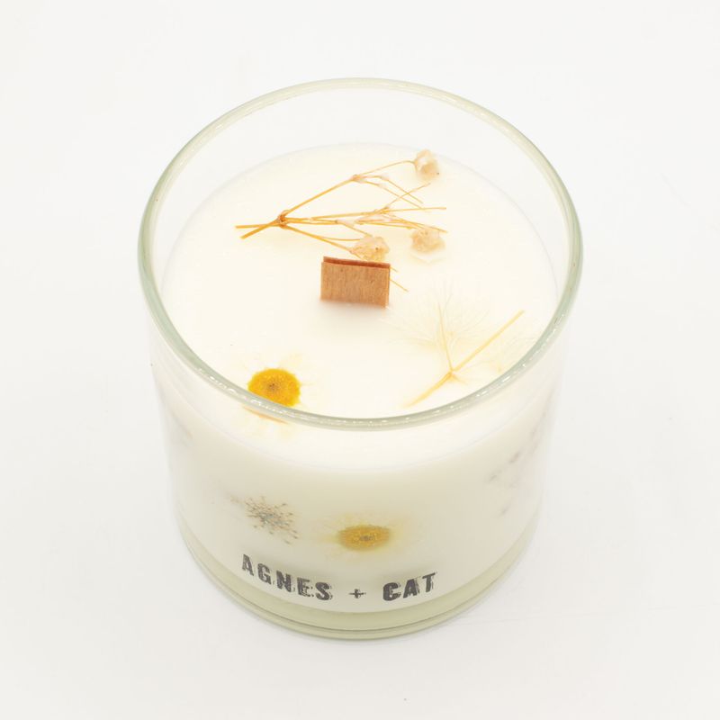 Agnes + Cat Extra Large  Crackle Soy Candle - Windermere