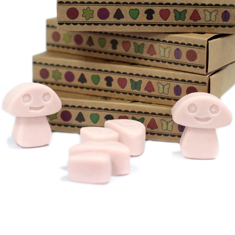 Boîte de 6 Fondants en Cire Soja -  Gingembre