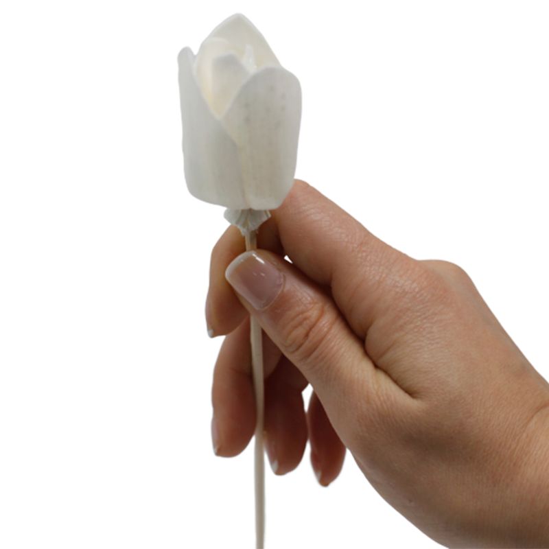 Diffuseurs Naturels Fleurs - Tulipe Sur Bâtonnets