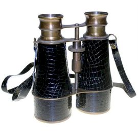 Binocluri, Telescoape etc.